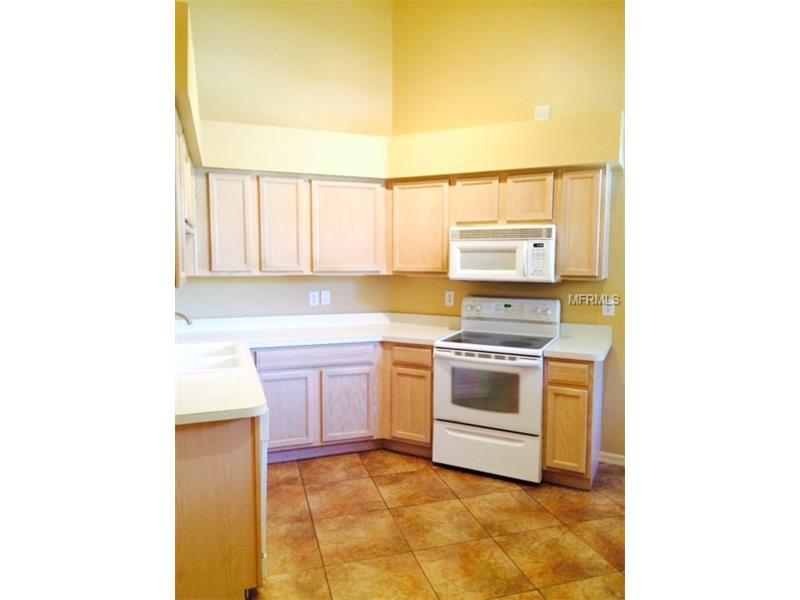 13217 ROYAL GEORGE AVENUE, Odessa, FL 33556