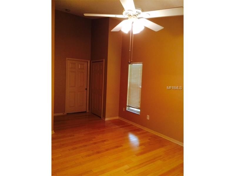 13217 ROYAL GEORGE AVENUE, Odessa, FL 33556