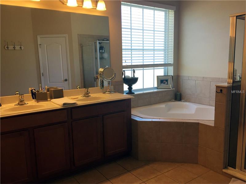 8201 NECTAR RIDGE COURT, Odessa, FL 33556