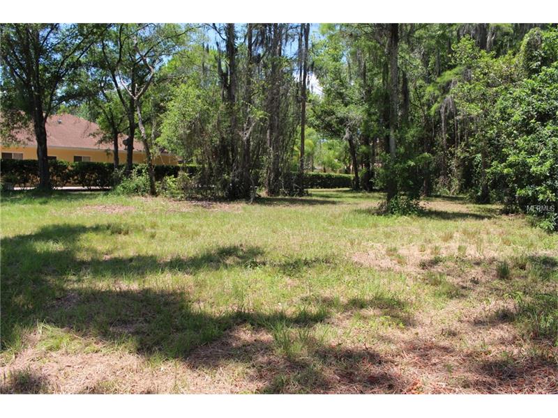 0 JORENE CIRCLE, Odessa, FL 33556