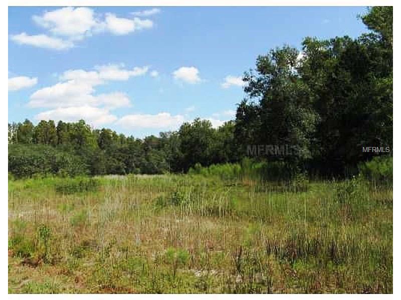 SCHAER WAY, Odessa, FL 33556