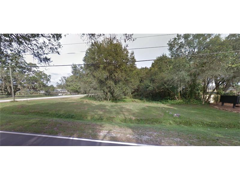 8312 COSME ROAD, Odessa, FL 33556