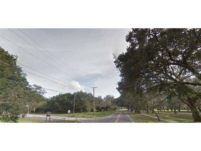 8312 COSME ROAD, Odessa, FL 33556