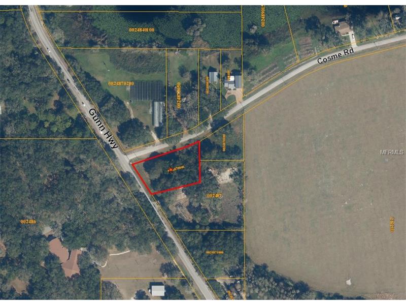 8312 COSME ROAD, Odessa, FL 33556
