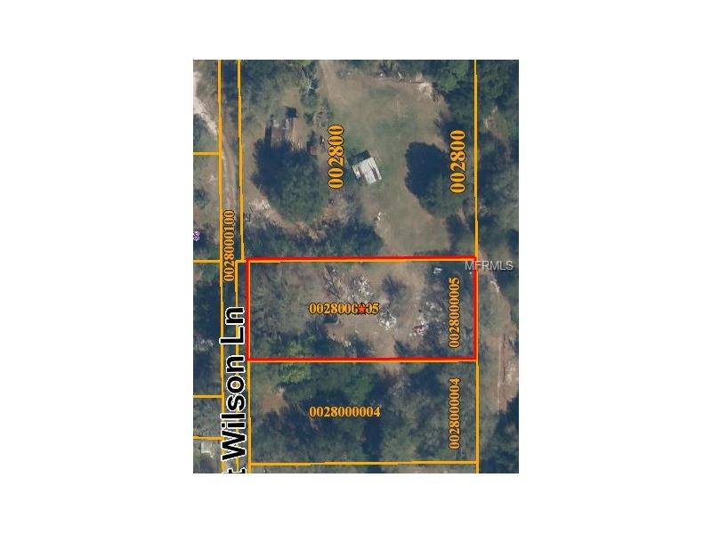 9007 SCOTT WILSON LANE, Odessa, FL 33556