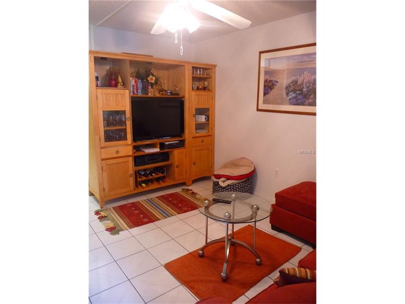 1881 MAZO MANOR, Lutz, FL 33558