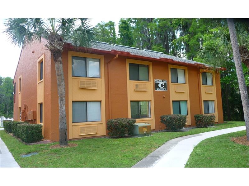 20861 HAULOVER COVE, Lutz, FL 33558