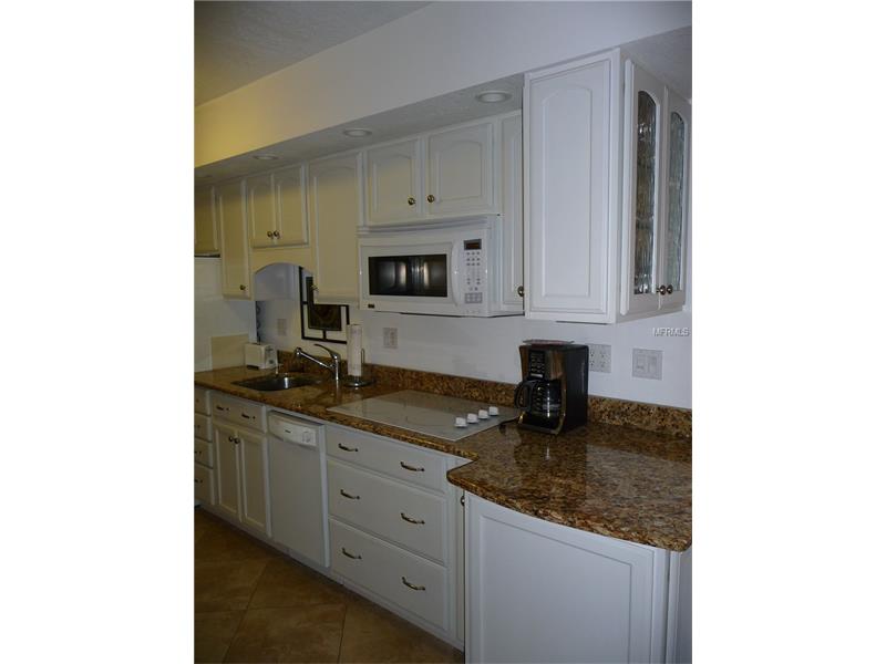 20861 HAULOVER COVE, Lutz, FL 33558