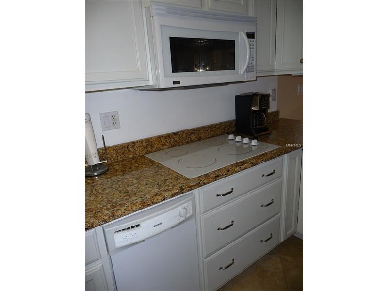 20861 HAULOVER COVE, Lutz, FL 33558