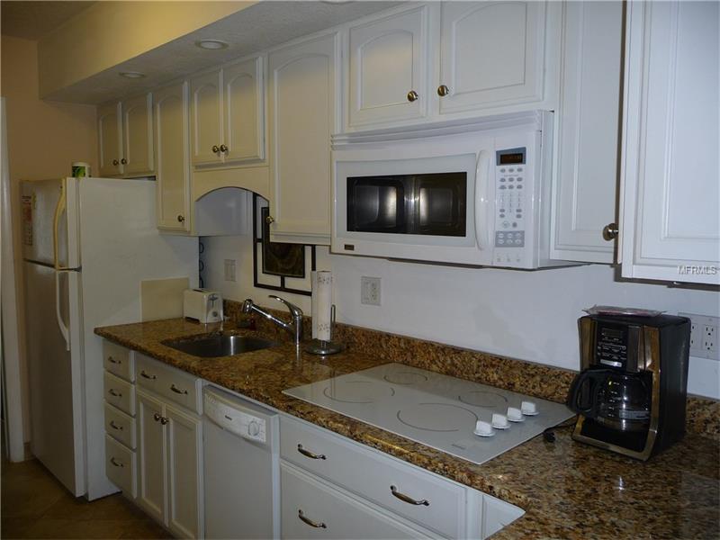 20861 HAULOVER COVE, Lutz, FL 33558