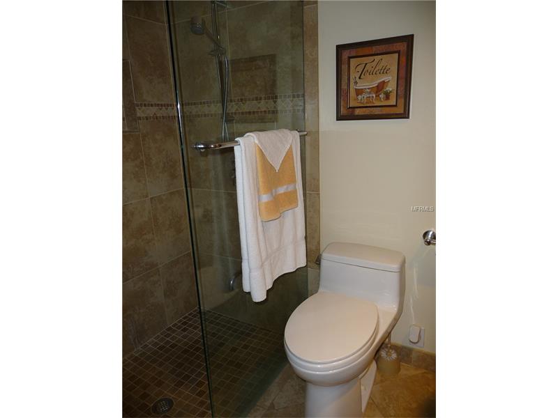 20861 HAULOVER COVE, Lutz, FL 33558