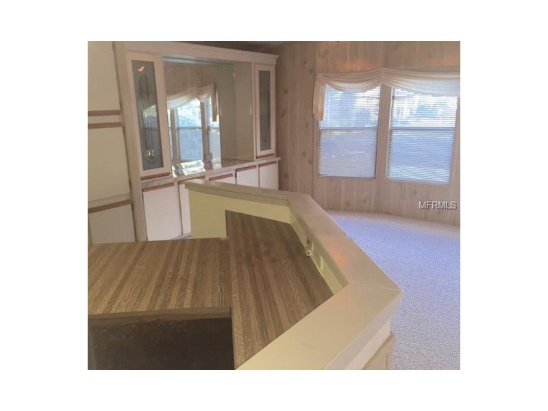 20946 LITTLE MAGENS LOOP, Lutz, FL 33558