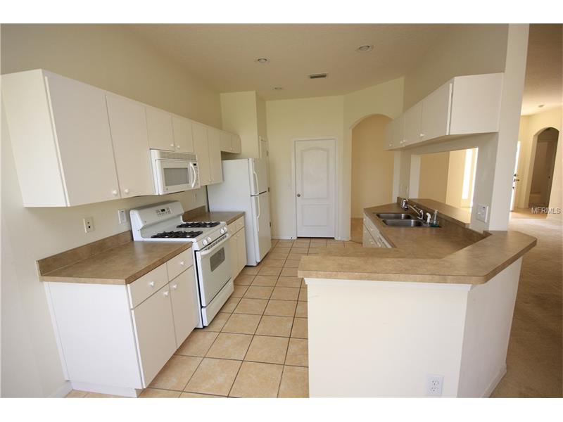 24617 VICTORIA WOOD COURT, Lutz, FL 33559