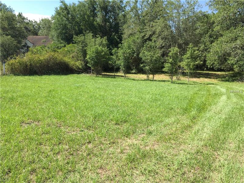 3301 E COUNTY LINE ROAD, Lutz, FL 33559