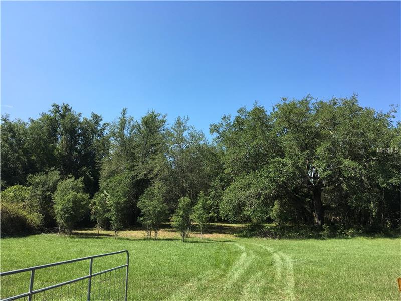 3301 E COUNTY LINE ROAD, Lutz, FL 33559