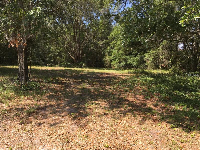 3301 E COUNTY LINE ROAD, Lutz, FL 33559
