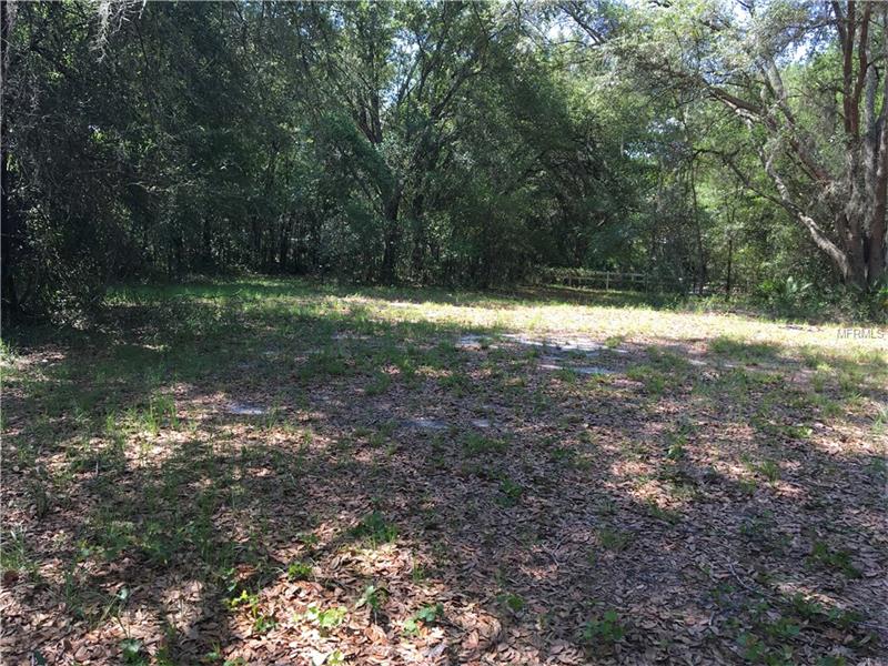 3301 E COUNTY LINE ROAD, Lutz, FL 33559