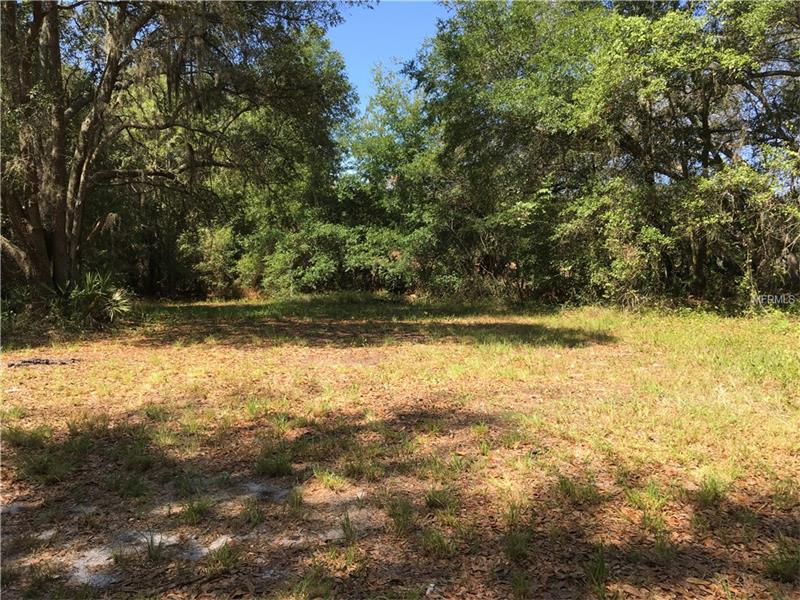 3301 E COUNTY LINE ROAD, Lutz, FL 33559