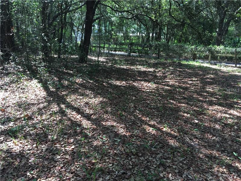 3301 E COUNTY LINE ROAD, Lutz, FL 33559