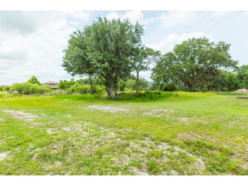 2604 TYLERS RIVER RUN, Lutz, FL 33559