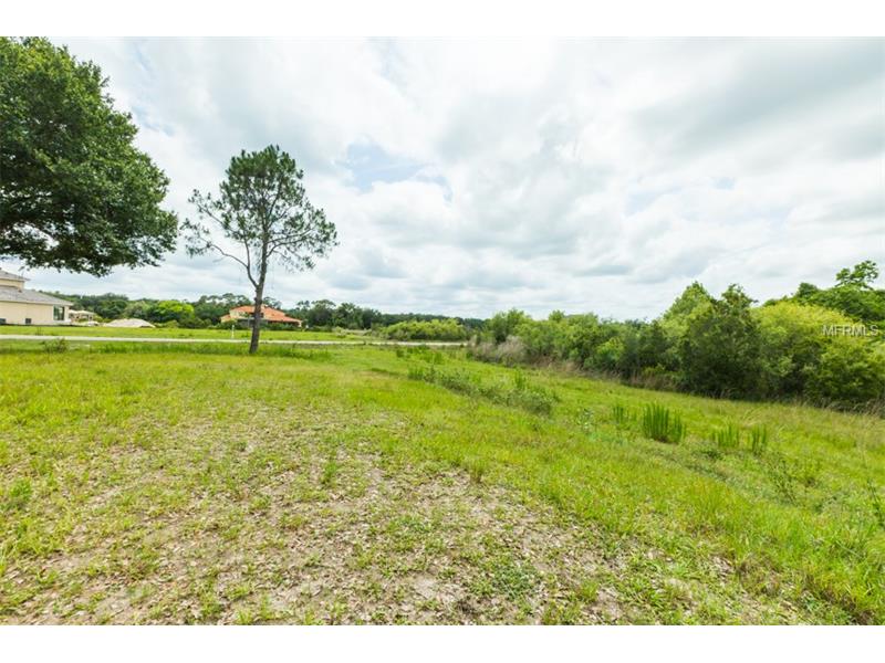 2604 TYLERS RIVER RUN, Lutz, FL 33559