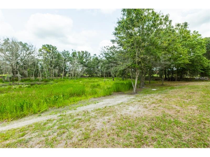 2604 TYLERS RIVER RUN, Lutz, FL 33559