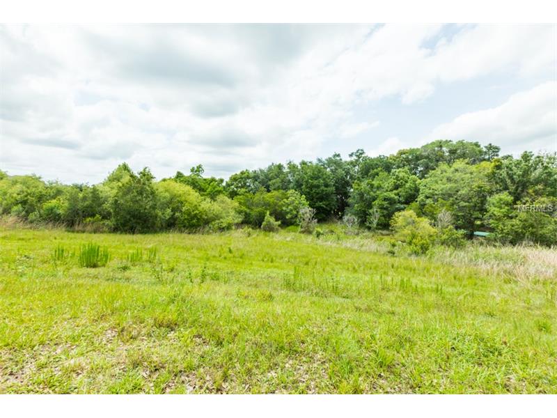2604 TYLERS RIVER RUN, Lutz, FL 33559