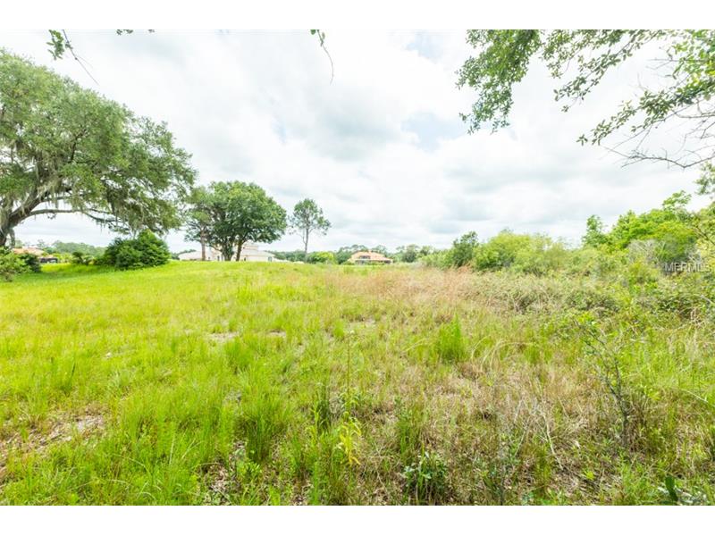 2604 TYLERS RIVER RUN, Lutz, FL 33559