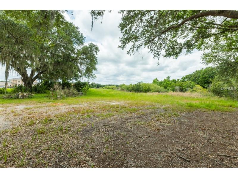 2604 TYLERS RIVER RUN, Lutz, FL 33559