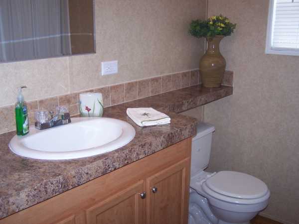 The Lakes at Countrywood395 Humminbbird Pl.Plant City, FL 33565