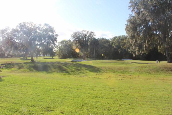 The Meadows and Arbors at Countrywood211 Country Club DrivePlant City, FL 33565