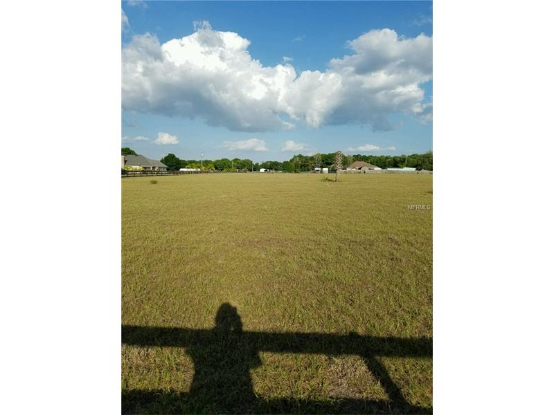 CATERINAS PLACE LOT 3, Plant City, FL 33567