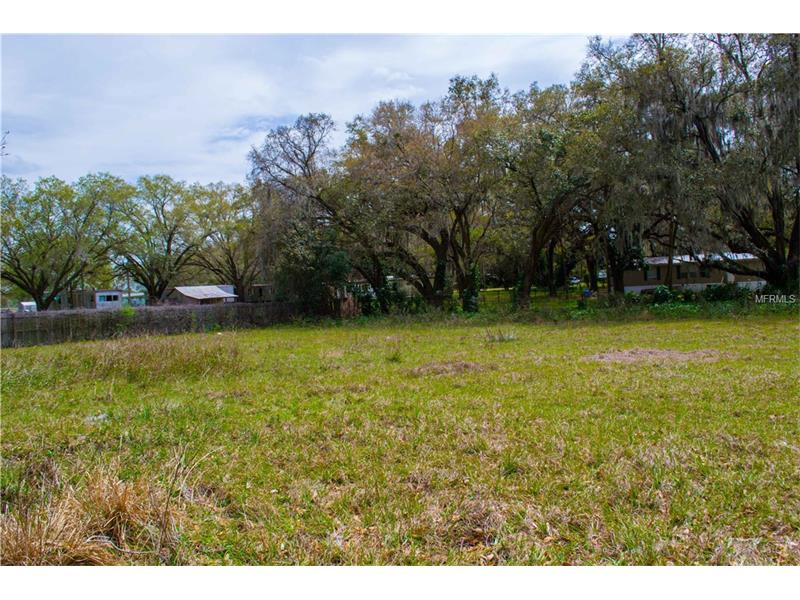 4610 ROEBUCK ROAD, Plant City, FL 33567