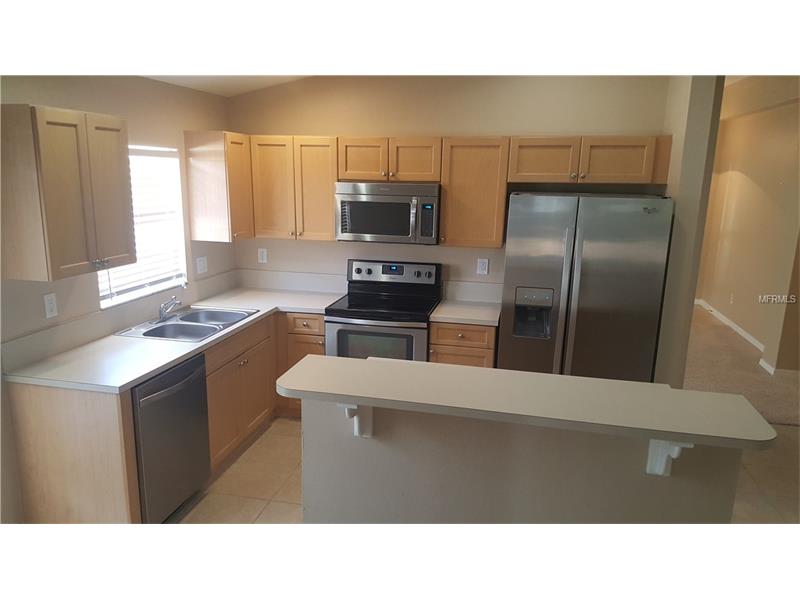 11339 COCONUT ISLAND DRIVE, Riverview, FL 33569