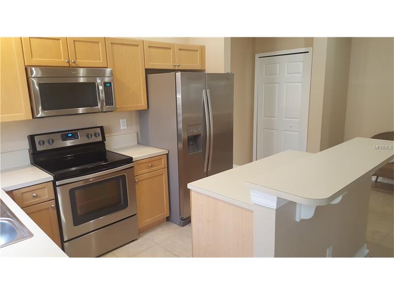 11339 COCONUT ISLAND DRIVE, Riverview, FL 33569
