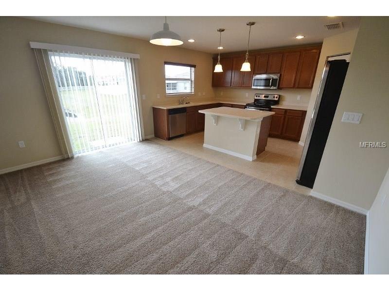 11135 RUNNING PINE DRIVE, Riverview, FL 33569