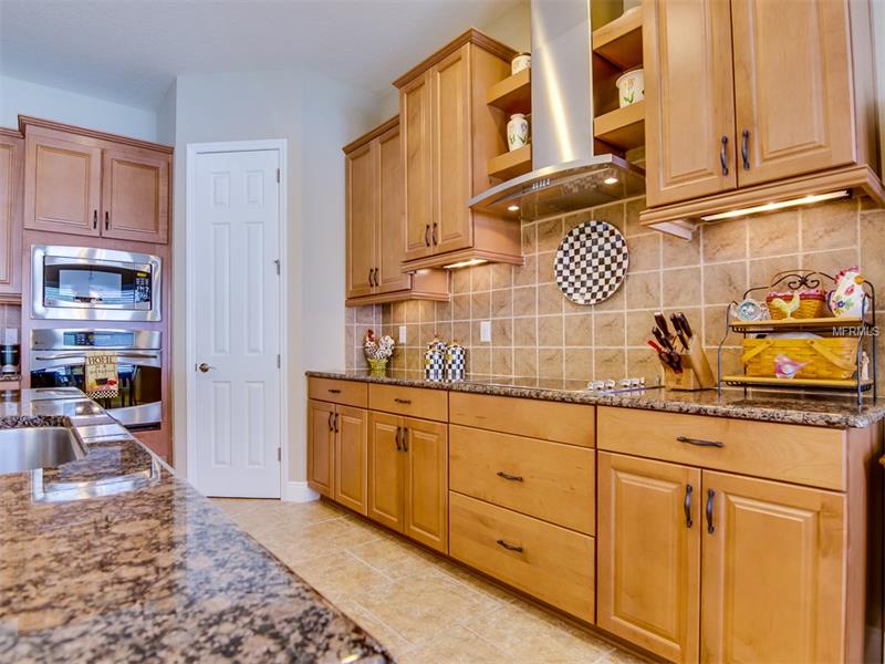 11025 CHARMWOOD DRIVE, Riverview, FL 33569