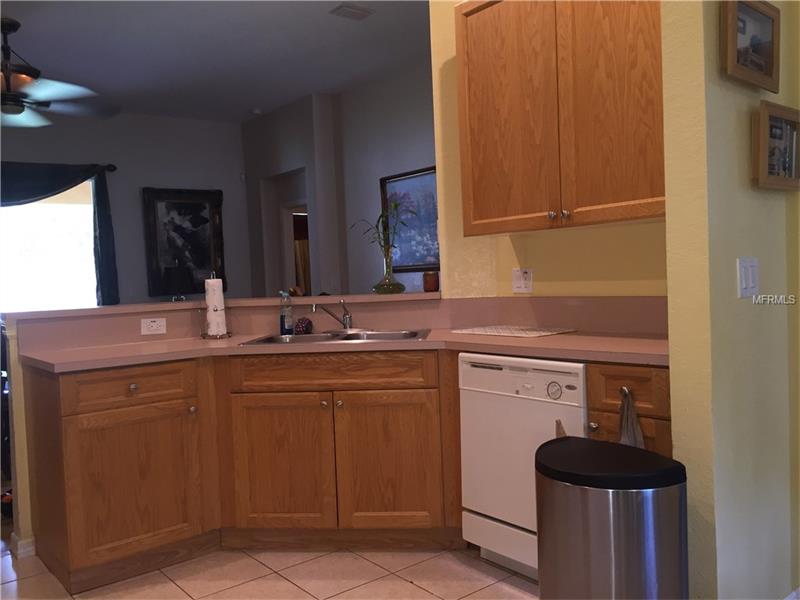 11332 BRIDGE PINE DRIVE, Riverview, FL 33569