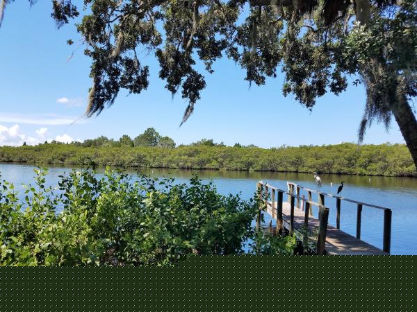 1622 Suzie Circle ,FL, Ruskin, 33570
