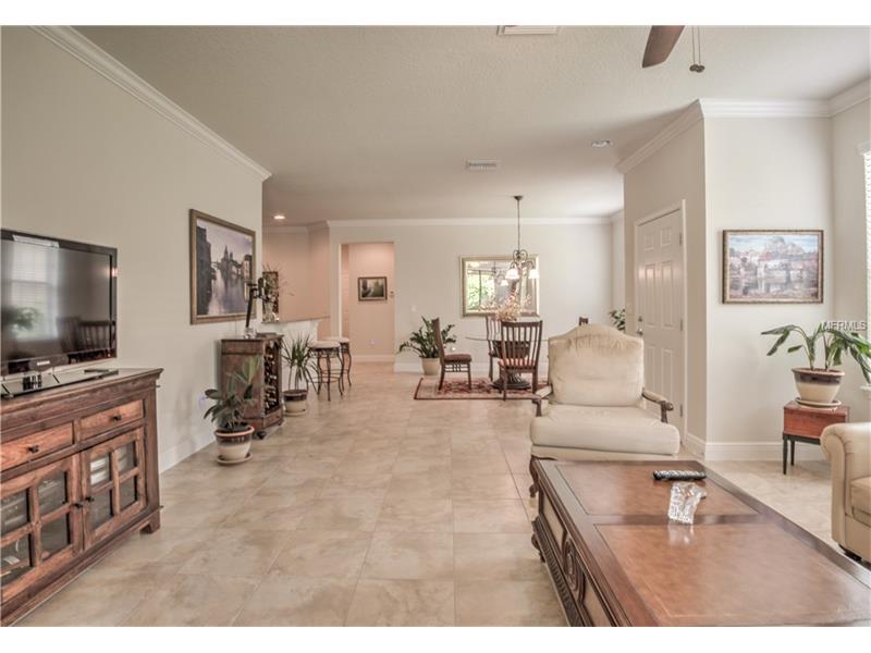5509 SUNSET FALLS DRIVE, Apollo Beach, FL 33572