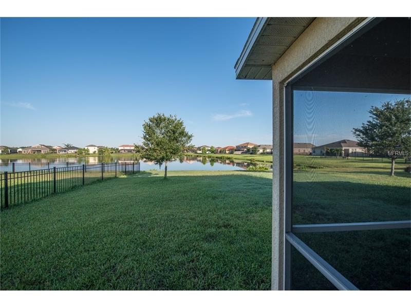 5114 BUTTERFLY SHELL DRIVE, Apollo Beach, FL 33572