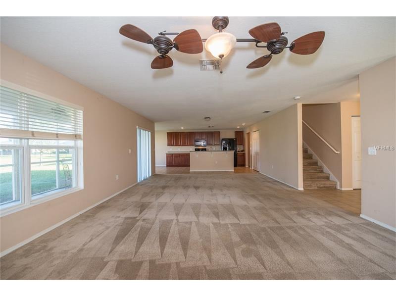 5114 BUTTERFLY SHELL DRIVE, Apollo Beach, FL 33572