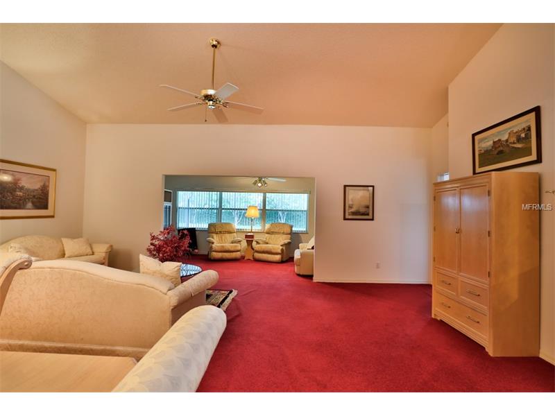 2225 OLIVE BRANCH DRIVE, Sun City Center, FL 33573