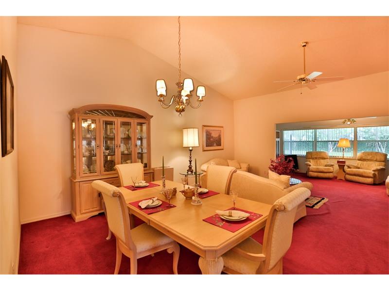 2225 OLIVE BRANCH DRIVE, Sun City Center, FL 33573