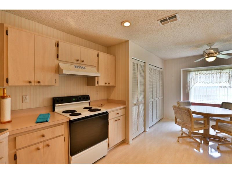 2225 OLIVE BRANCH DRIVE, Sun City Center, FL 33573