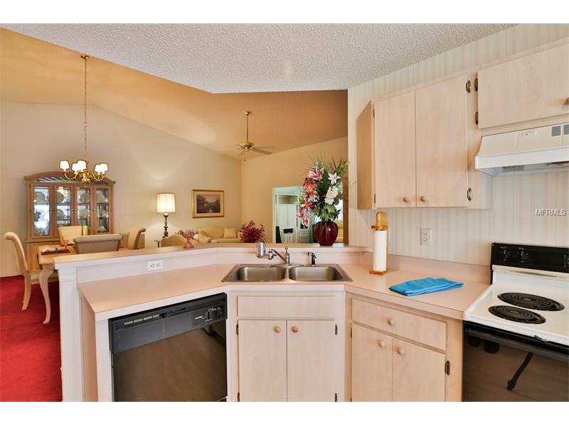 2225 OLIVE BRANCH DRIVE, Sun City Center, FL 33573