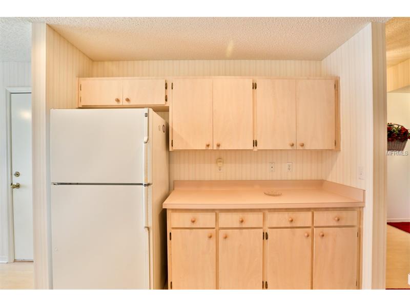 2225 OLIVE BRANCH DRIVE, Sun City Center, FL 33573