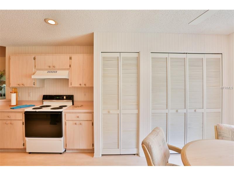 2225 OLIVE BRANCH DRIVE, Sun City Center, FL 33573