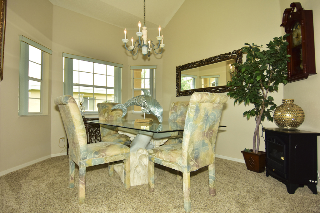 513 Princeton Greens Ct, Sun City Center, FL 33573