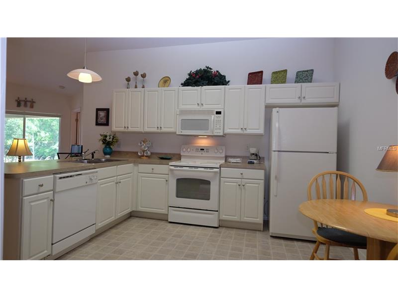 9601 ROLLING CIRCLE, San Antonio, FL 33576